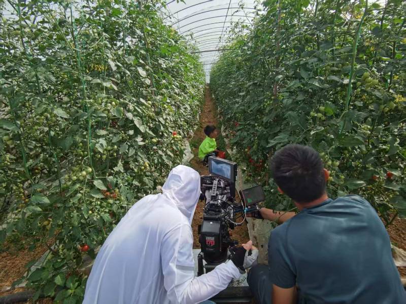 阿克苏产品宣传视频拍摄公司进阶指南，助力品牌抢占传播高地